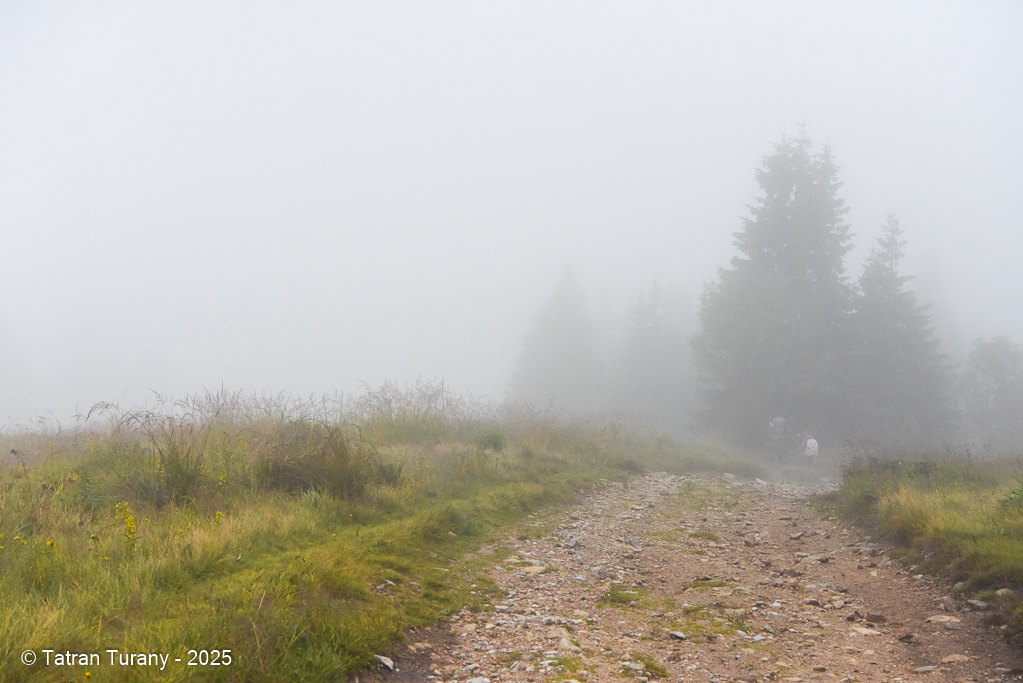Číslo fotografie je DSC_6847