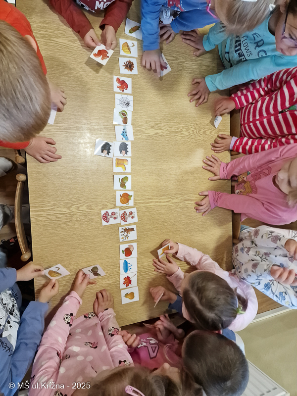 Číslo fotografie je 20251009_082953