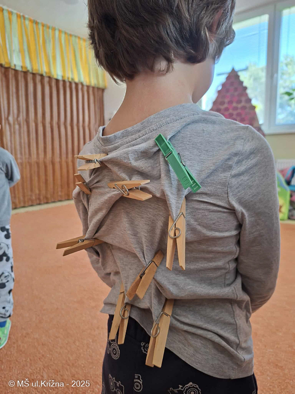 Číslo fotografie je 733649349700946