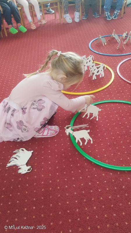 Číslo fotografie je IMG_20250917_092229159