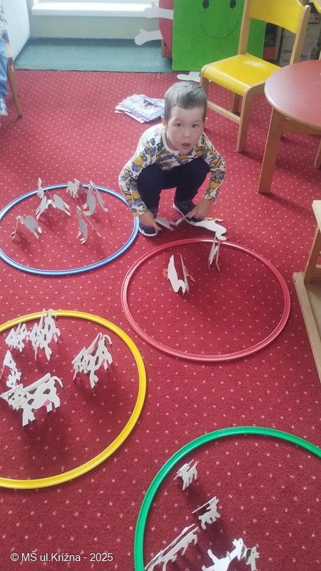 Číslo fotografie je IMG_20250917_092549537