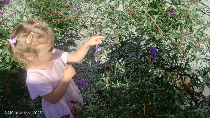 Číslo fotografie je IMG_20250922_111220410_HDR