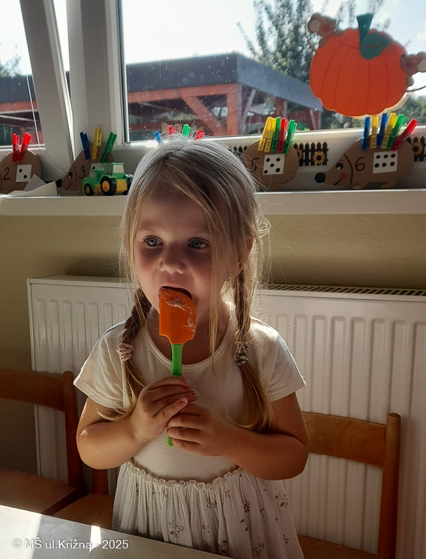 Číslo fotografie je 20250905_093741