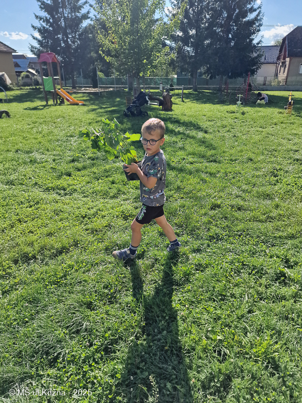 Číslo fotografie je 20250919_152200