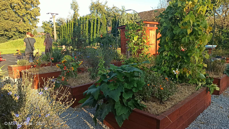 Číslo fotografie je 45D819DC58AF