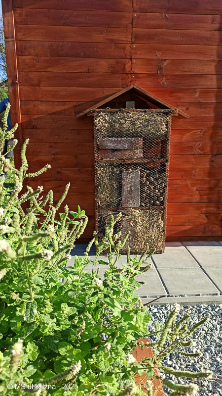 Číslo fotografie je A989-7438C67EEC7E